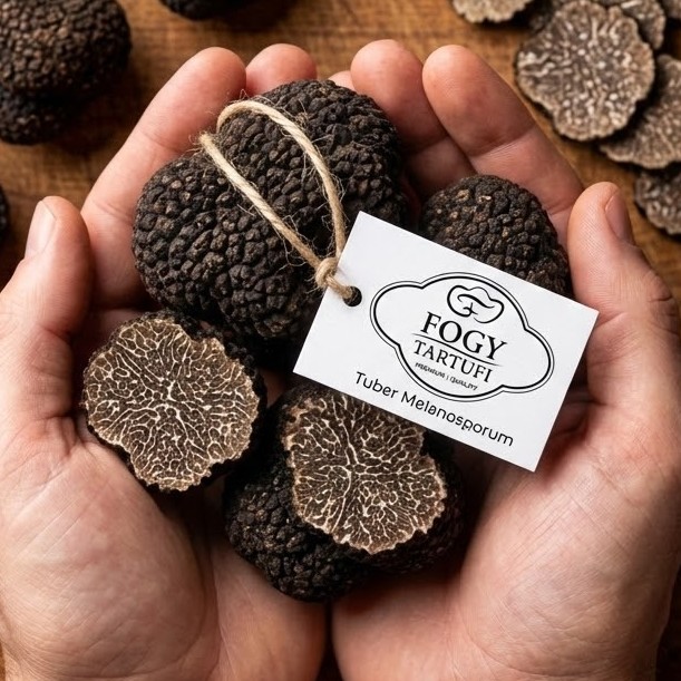 Premium Gift Packaging